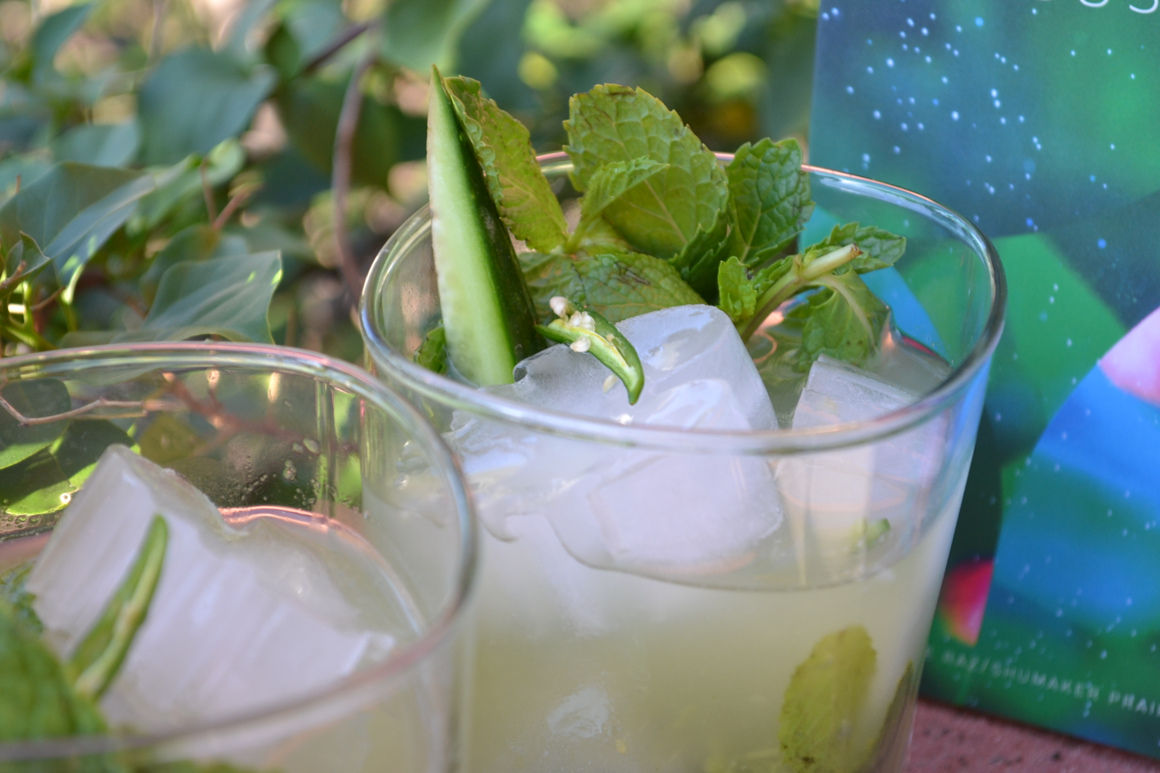 closeup of two glasses of the "dream of green" cocktail, garnished with mint, cucumber, and Thai chili pepper